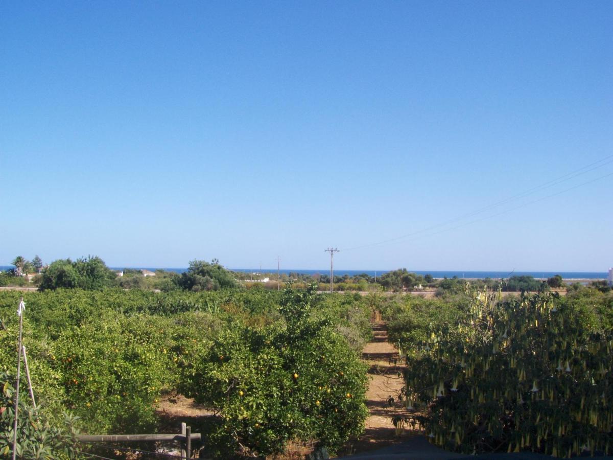 Vila Casa Tipica No Campo Luz de Tavira Exteriér fotografie