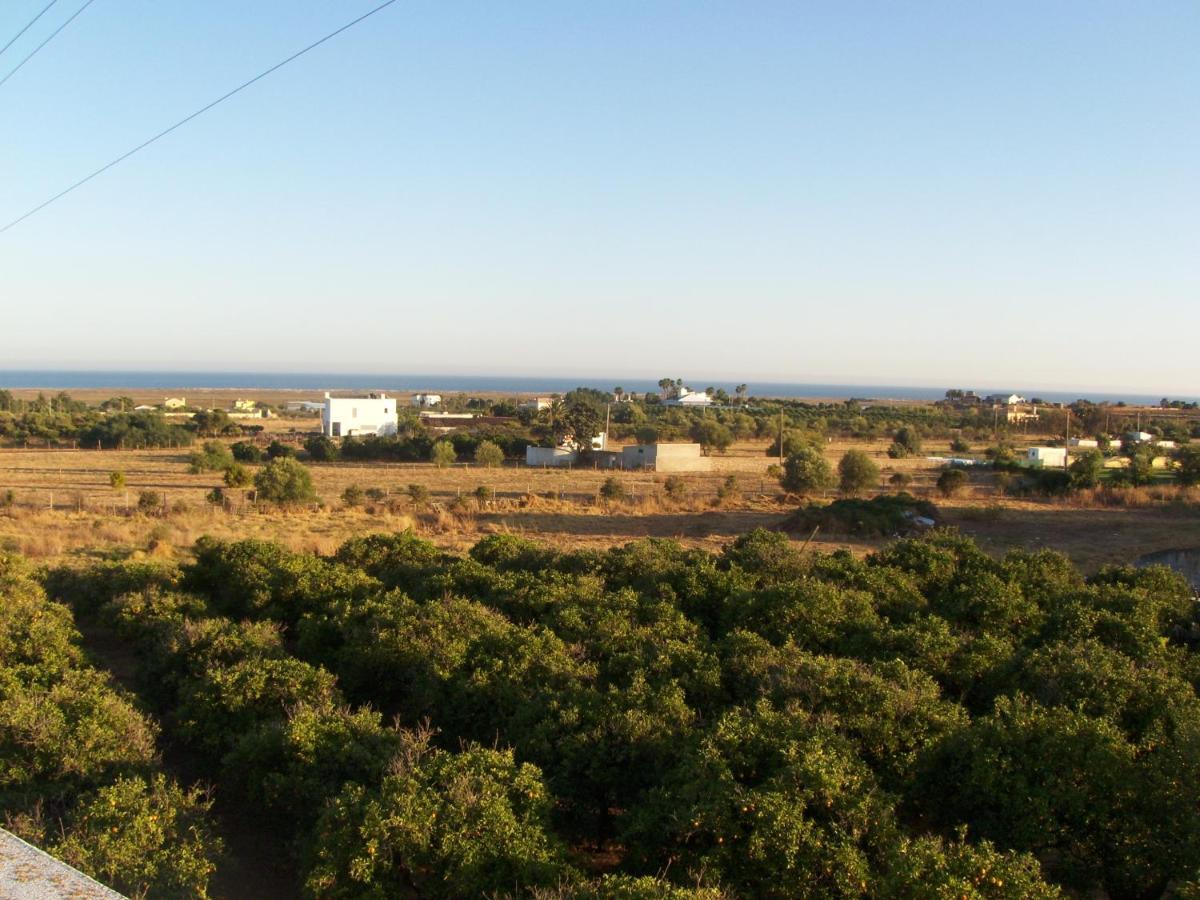 Vila Casa Tipica No Campo Luz de Tavira Exteriér fotografie